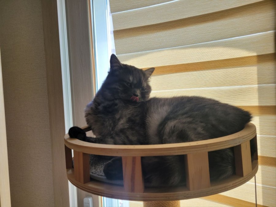 츮 