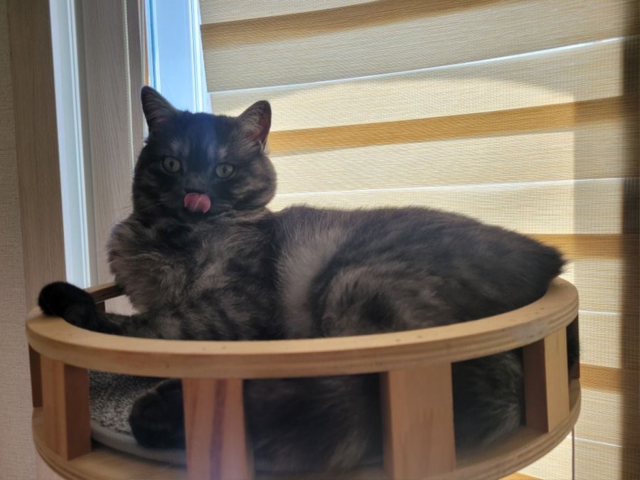 츮 