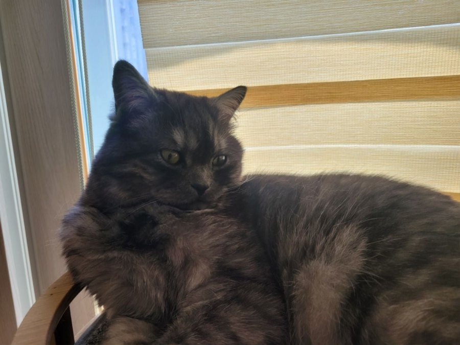 츮 