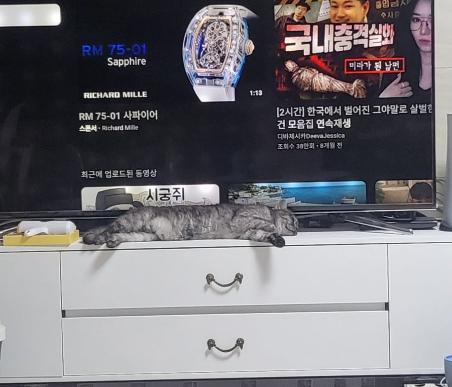 츮 