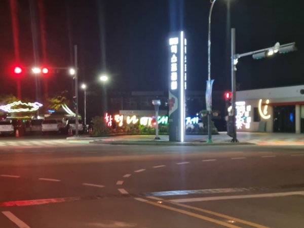전남 함평 나비축제 야시장 갔어요