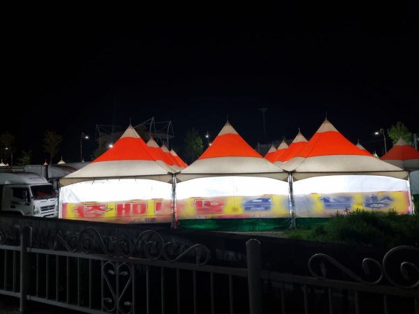 전남 함평 나비축제 야시장 갔어요
