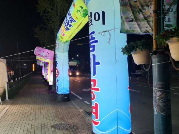전남 함평 나비축제 야시장 갔어요