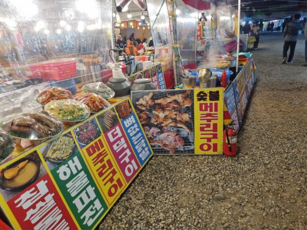 전남 함평 나비축제 야시장 갔어요