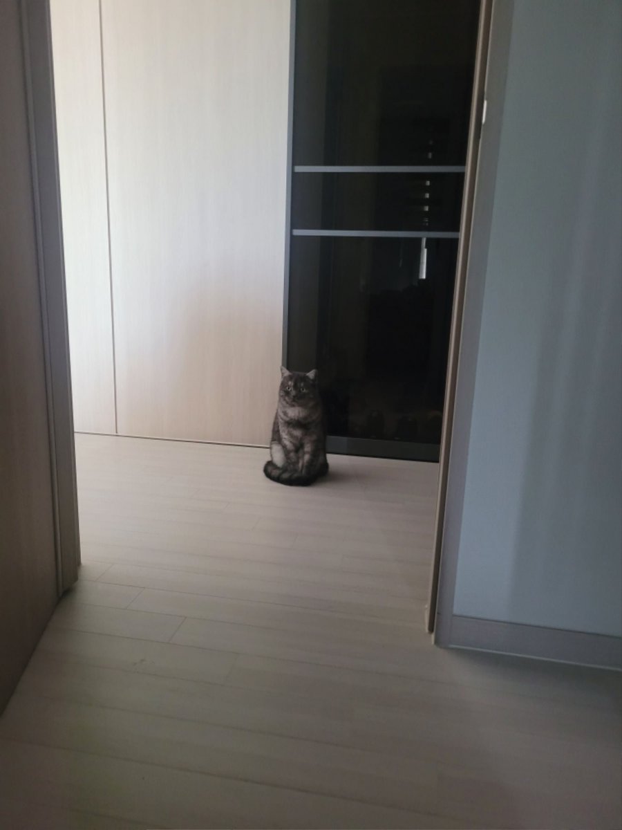 츮 