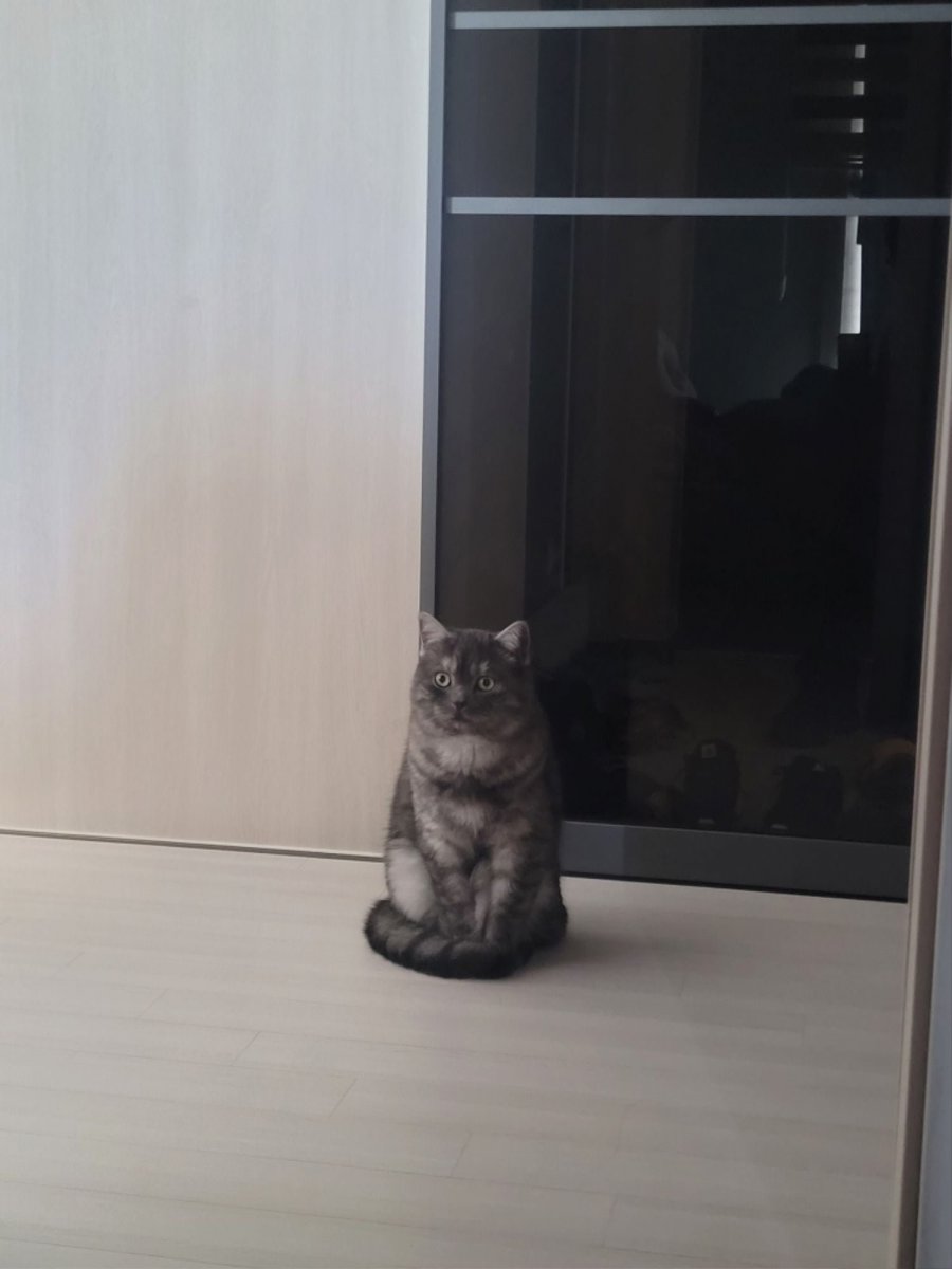 츮 