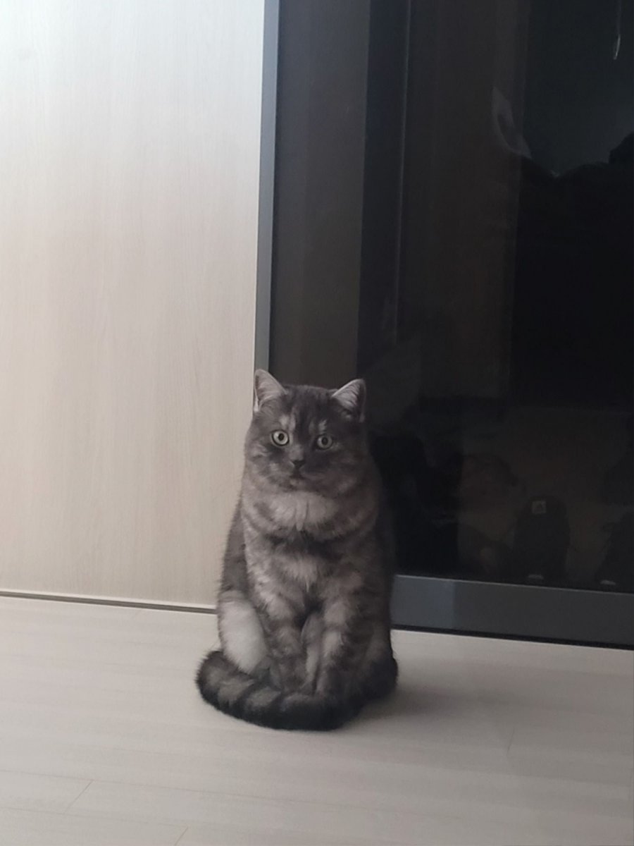 츮 
