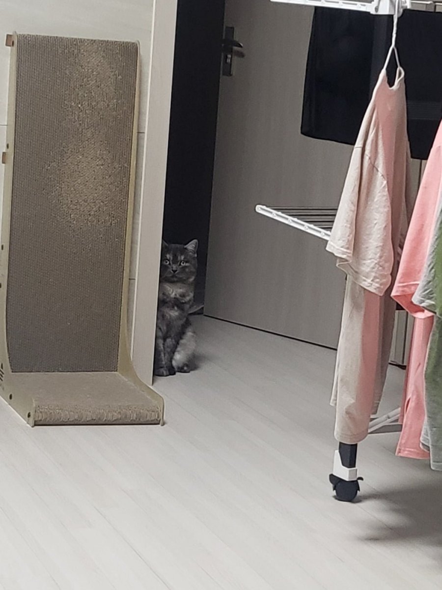 츮 