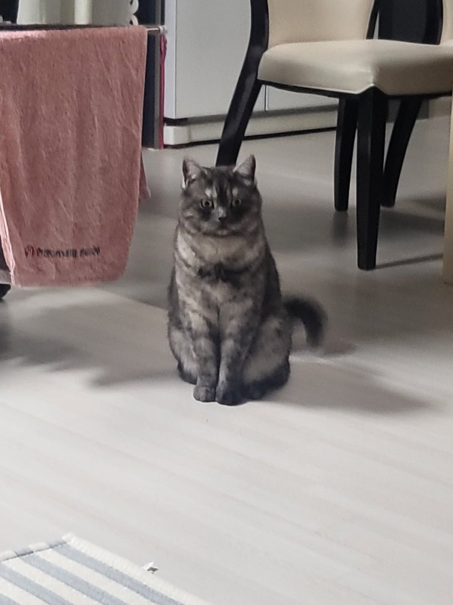 츮 