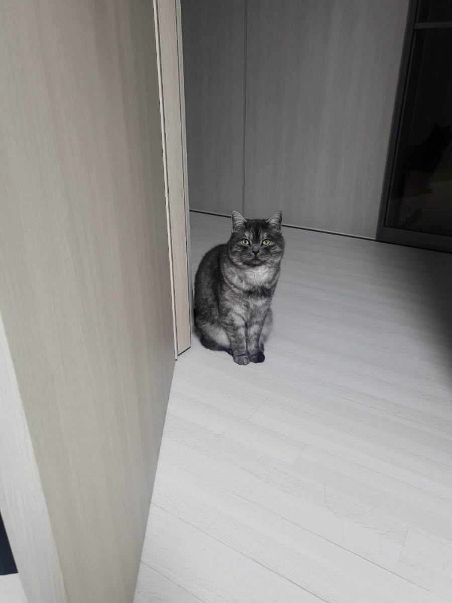 츮 