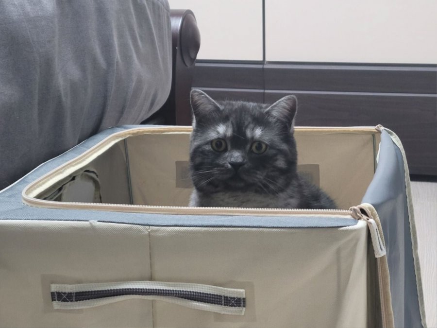츮 