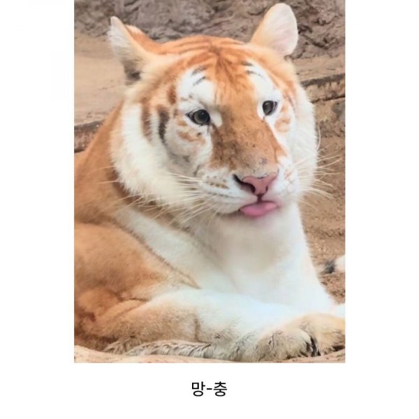 VBaqiY.jpg