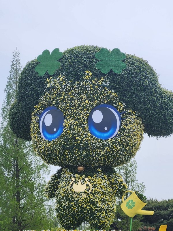 일산 꽃축제