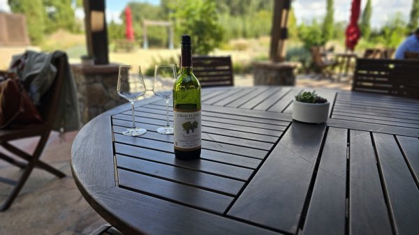 와알못의 초보와인생활 2 - Napa Valley Grgich Hills Estate