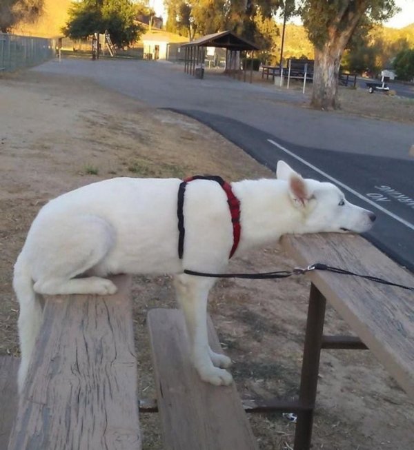 xqXgdO.jpg