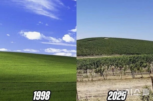 20250509170617_dG4tY5KSRJ.jpeg