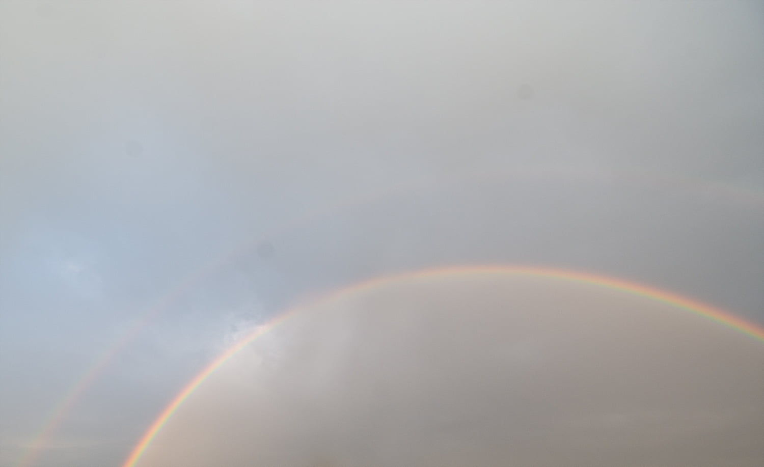 20250511194325_tPjEBzPgVE.jpg