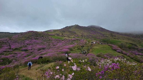 20250510_132254.jpg