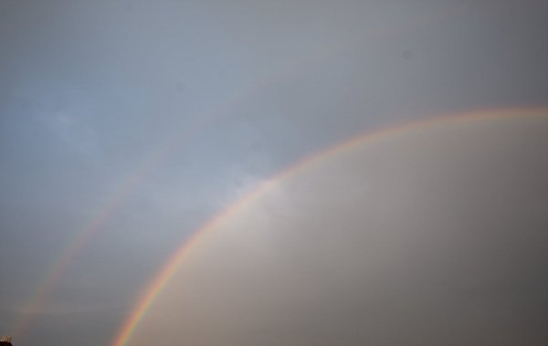 _DSC9086.jpg