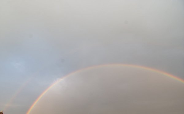 _DSC9087.jpg
