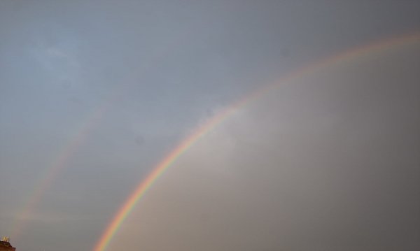 _DSC9088.jpg