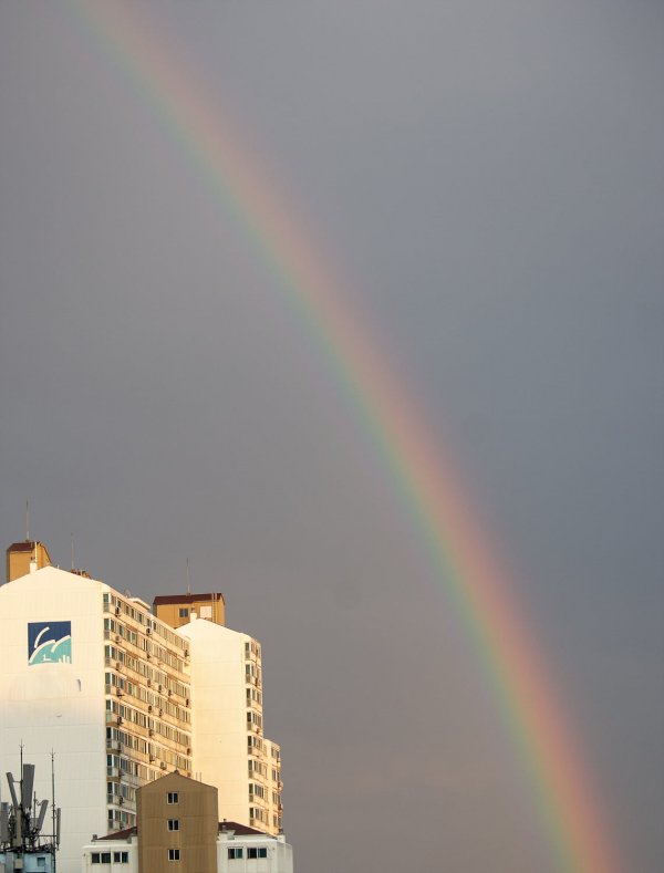 _DSC9103.jpg