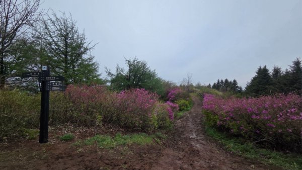 바래봉 (7).jpg