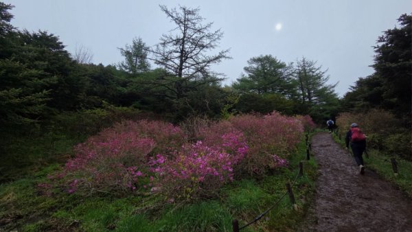 바래봉 (9).jpg