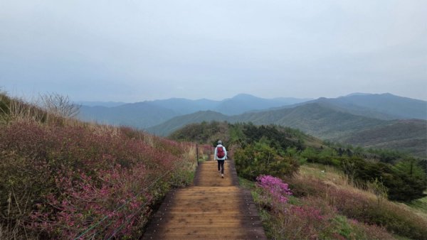 바래봉 (15).jpg