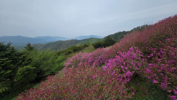바래봉 (16).jpg