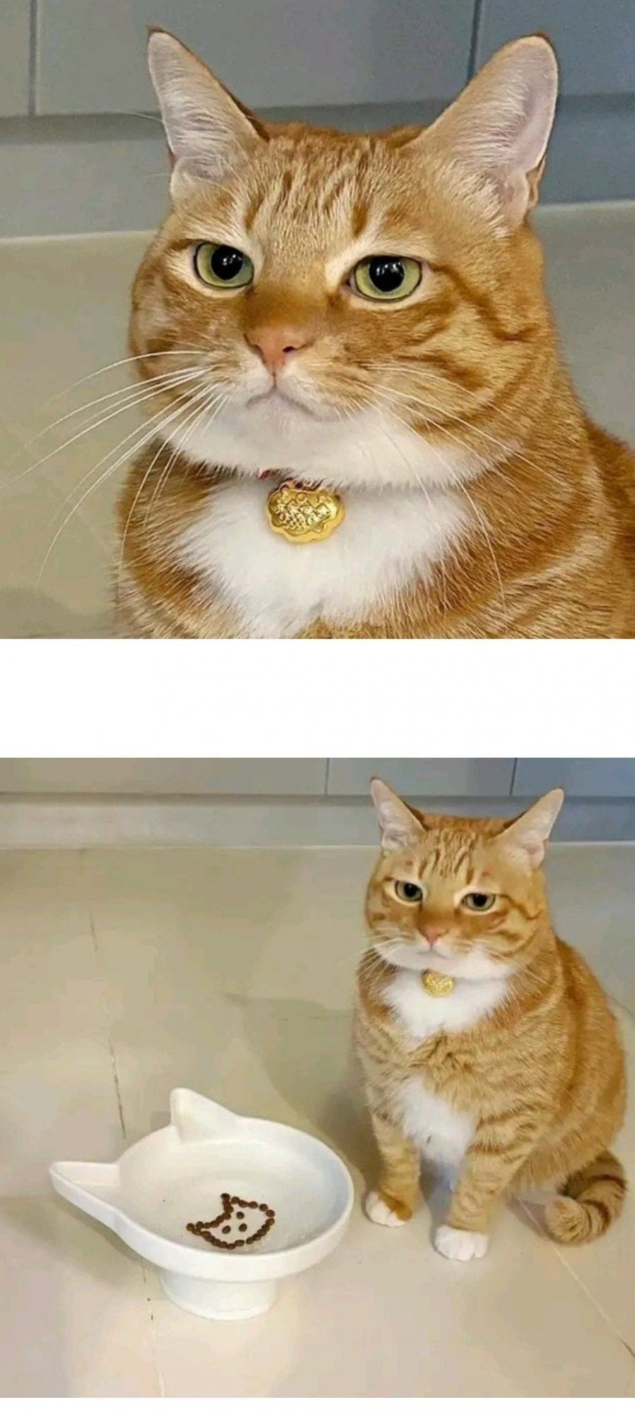 20250513105644_kGvfkAvgWq.jpeg
