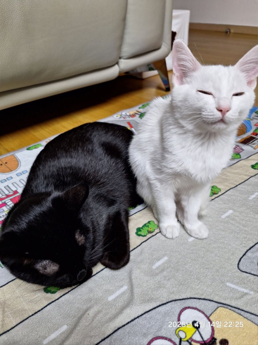 츮 ܿ 