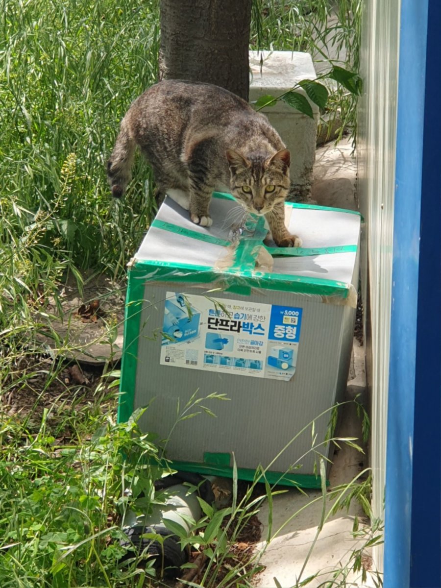 뱸  Դϴ