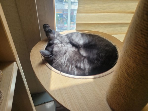 우리집 깜지