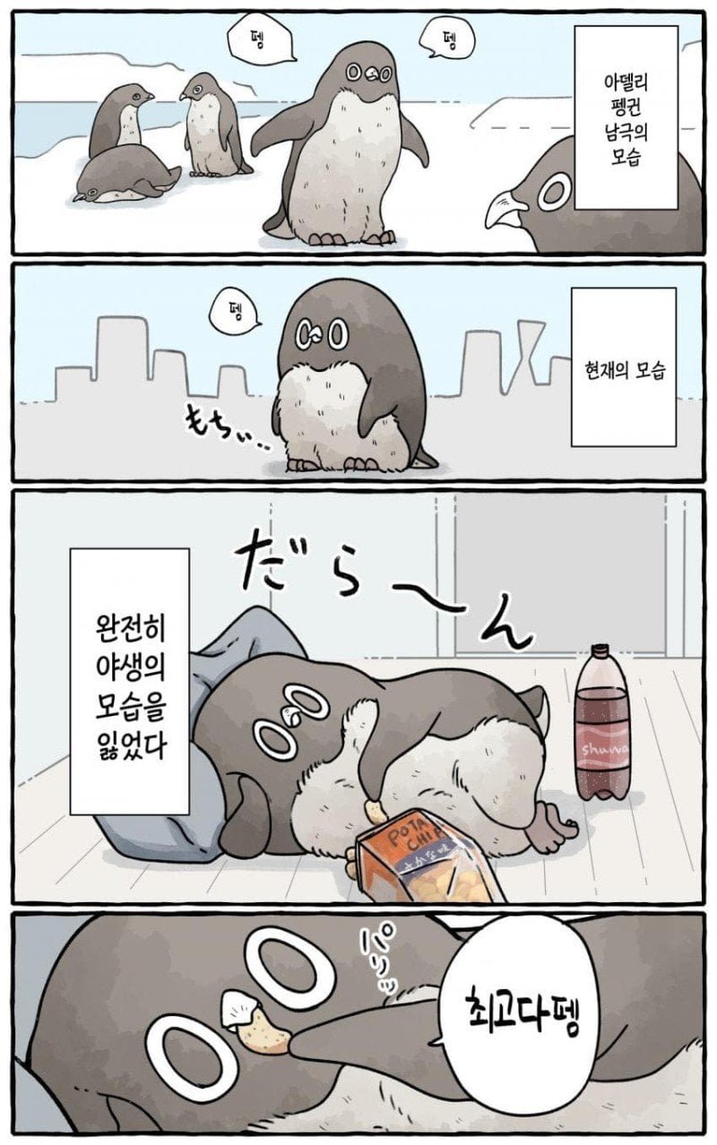 20250515221047_Lkjj049zKz.jpg
