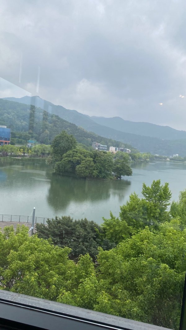 수성못을 바라보며