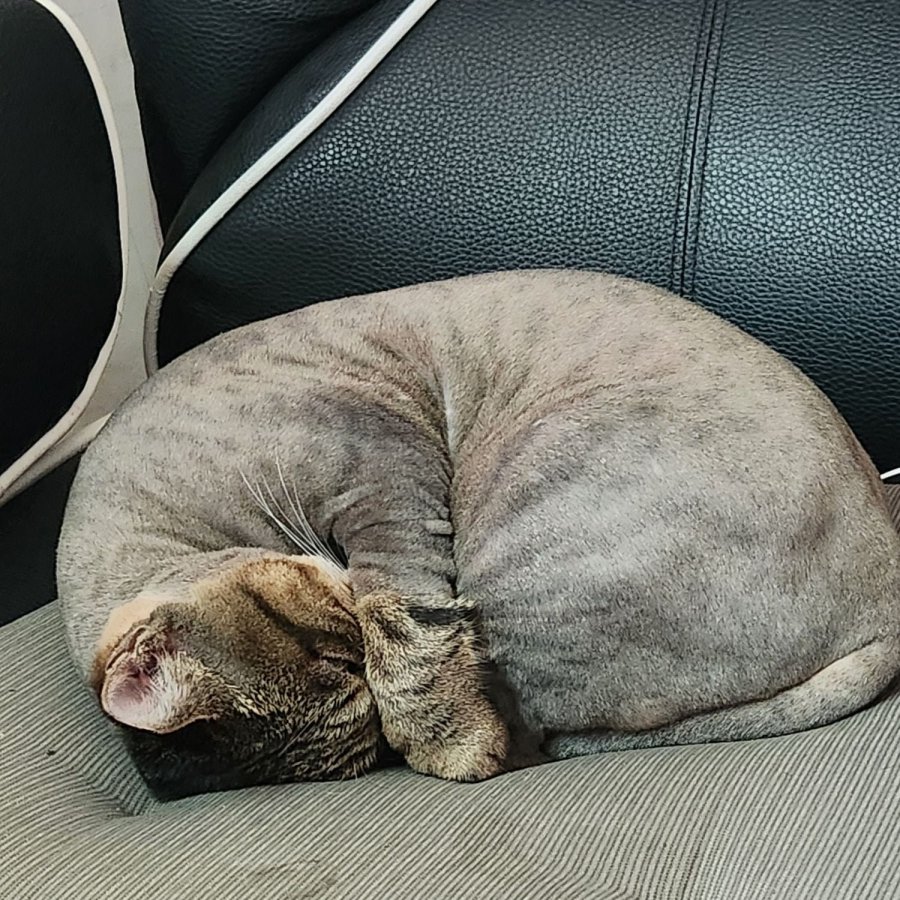 츮 ֿ ̷ ڴ°?