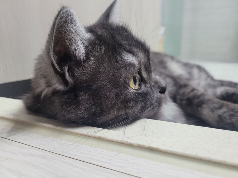 츮 