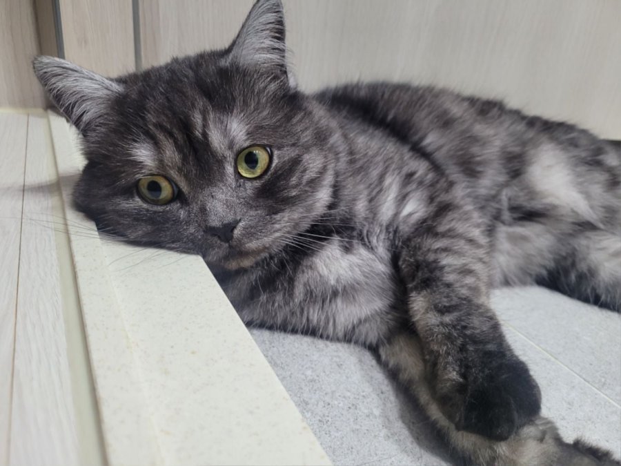 츮 