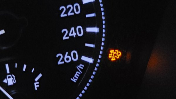 1000026437.jpg