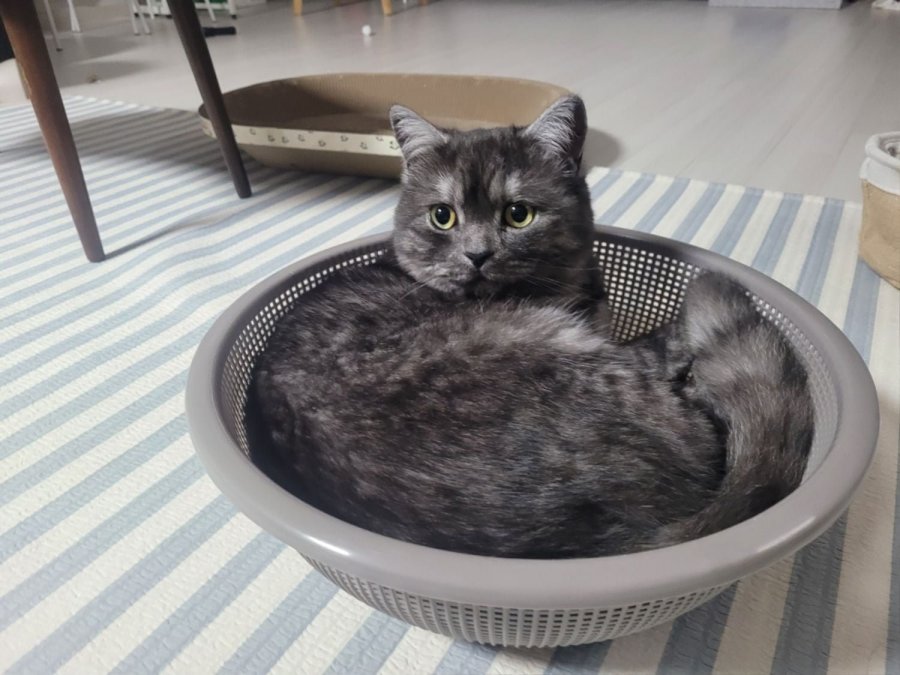 츮 