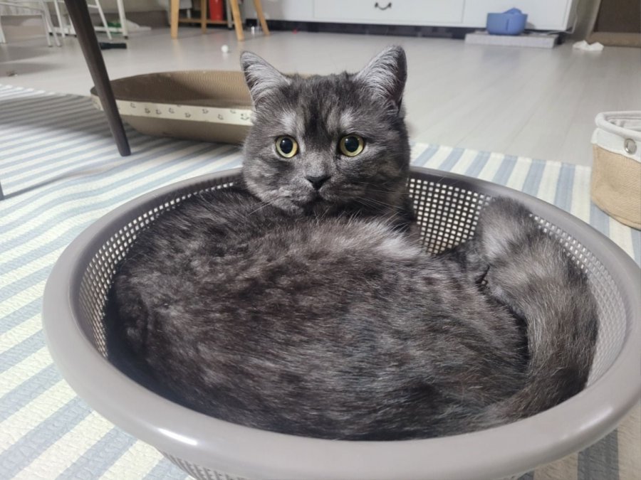 츮 