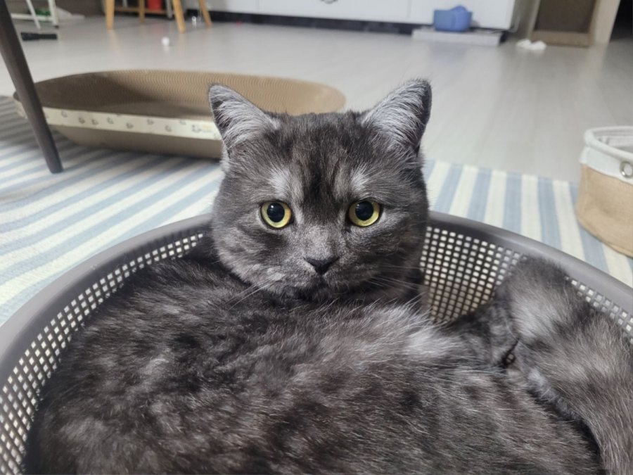 츮 