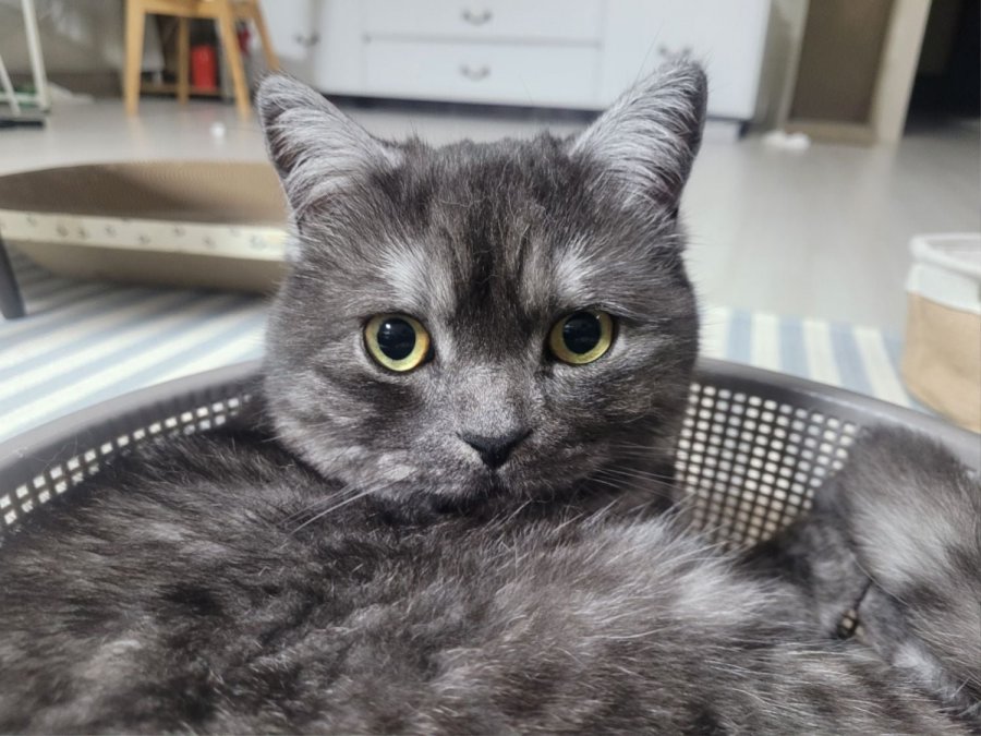 츮 