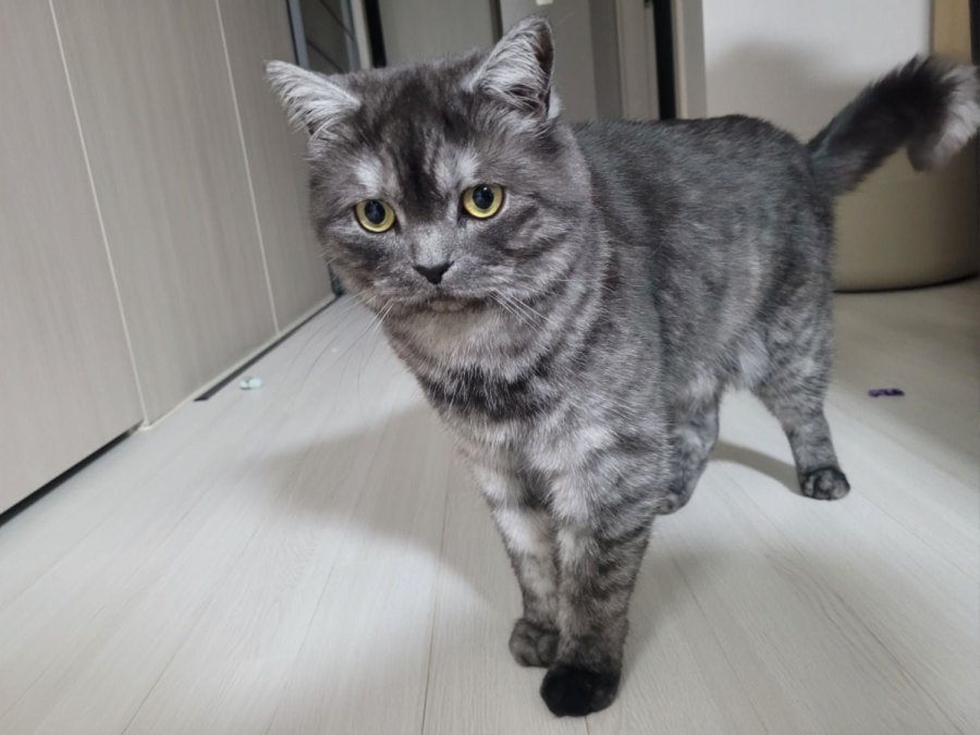 츮 