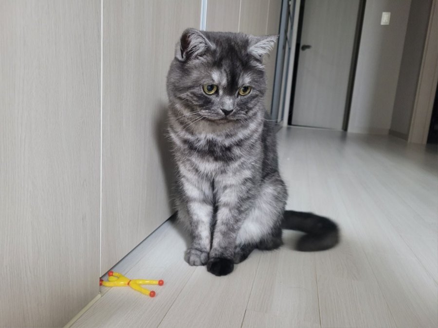 츮 