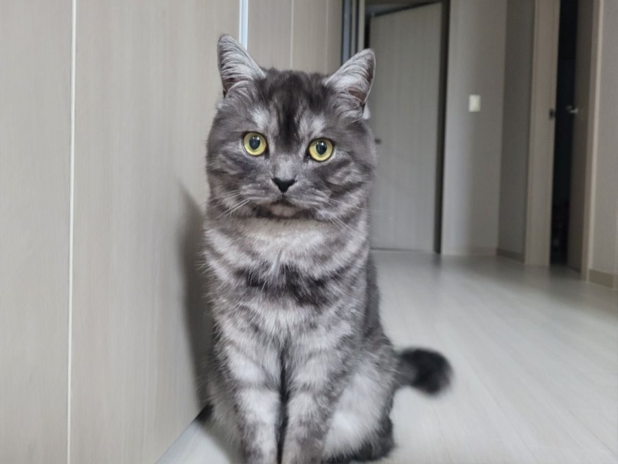 츮 
