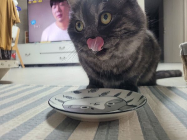 우리집 깜지