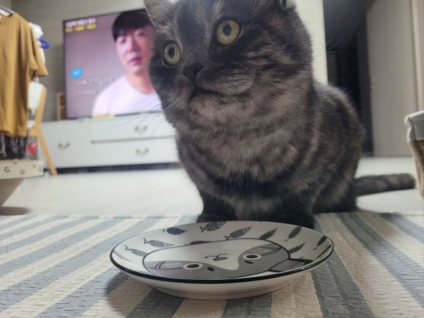 우리집 깜지