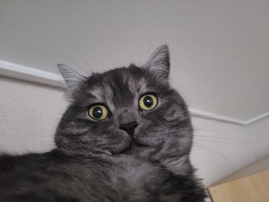 츮 